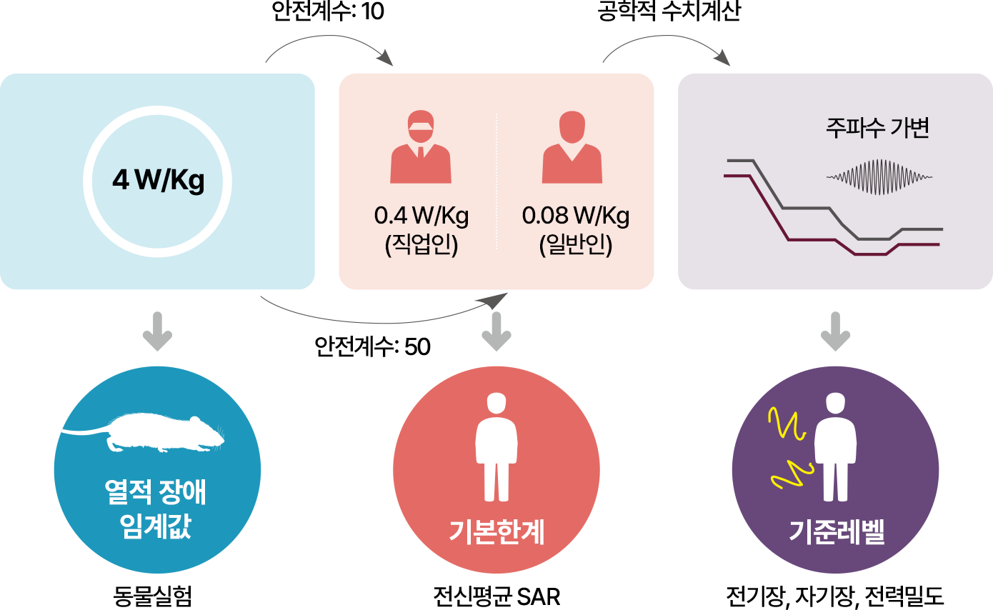 [전자파 인체보호기준]을 열적 장애 임계값, 기본한계, 기준레벨로 나누는 기준에 대해 그림으로 정리