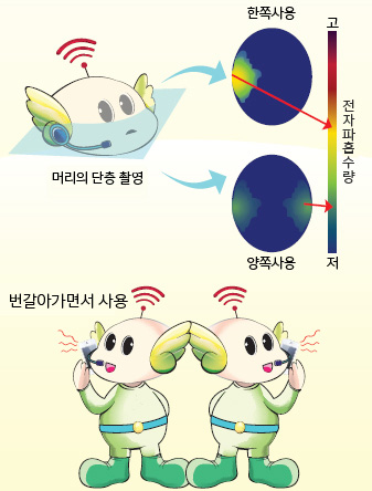 핸드폰을 사용시 머리단층 촬영결과 한쪽으로 사용할 경우가 양쪽으로 사용할 경우보다 전자파 흡수량이 많이나옴, 왼쪽 오른쪽 번갈아 통화하는 것이 좋음