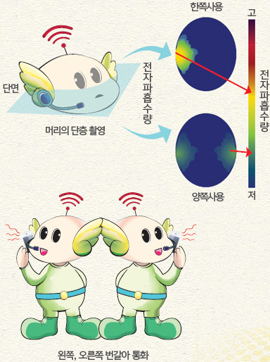 핸드폰을 사용시 머리단층 촬영결과 한쪽으로 사용할 경우가 양쪽으로 사용할 경우보다 전자파 흡수량이 많이나옴, 왼쪽 오른쪽 번갈아 통화하는 것이 좋음
