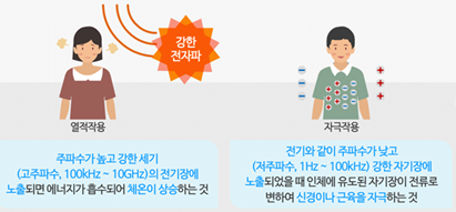 열적작용:주파수가 높고 강한세기(고주파수,100kHz ~ 10GHz)의 전기장에 노출되면 에너지가 흡수되어 체온이 상승하는것, 자극작용: 전기와 같이 주파수가 낮고(저주파수, 1Hz ~ 100kHz)강한 자기장에 노출되었을때 인체에 유도된 자기장이 전류로 변하여 신경이나 근육을 자극하는것